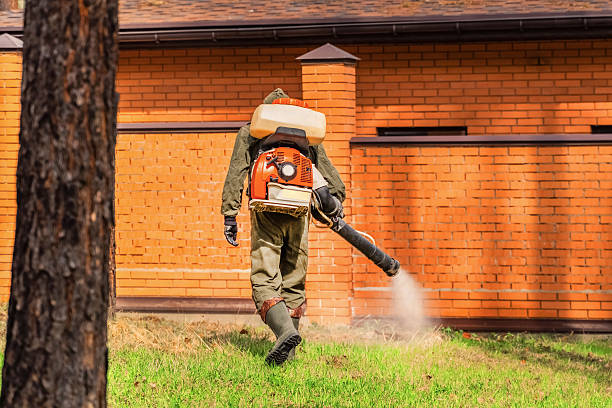 Top rated local Wasp Removal specialists in Carrollwood, FL